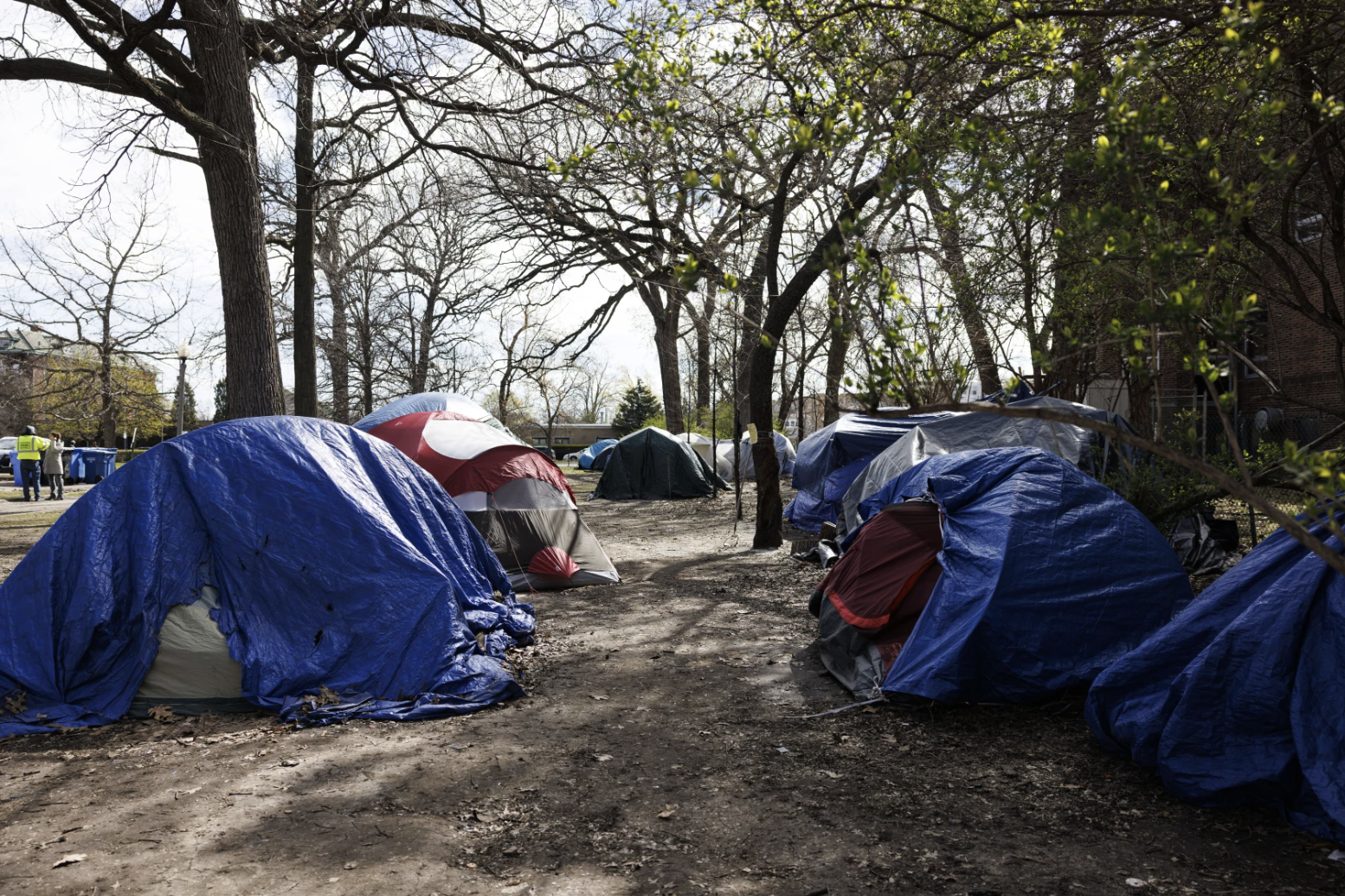 Rows of tents covered with blue tarps line a dirt path in a park, depicting an outdoor homeless encampment among bare trees.